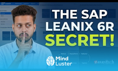 Time Classification and Six R Strategy SAP LeanIX ZaranTech