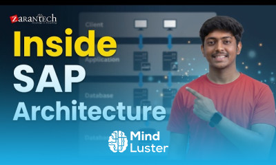 Your First Live SAP System Architecture Navigation and Real Configuration