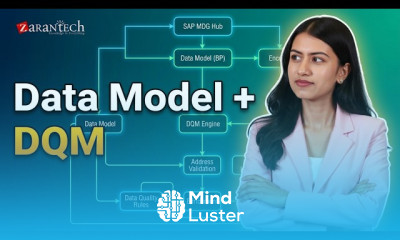 Data Model in SAP MDG Technical with DQM ZaranTech