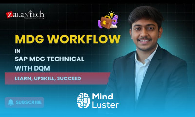 MDG Workflow in SAP MDG Technical with DQM ZaranTech
