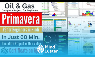 Complete Primavera P6 Like a PRO Project on Oil Gas