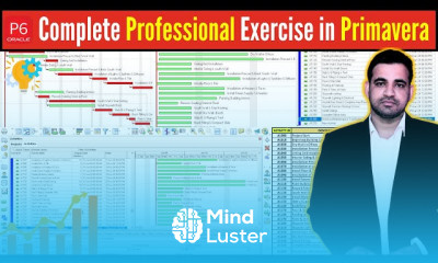 Complete Professional Exercise in Primavera Software