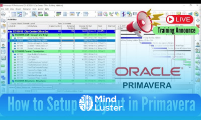 How to Setup a Layout for Client in Primavera