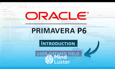 Primavera Introduction User Defined Field in Primavera