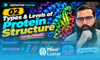 02 Types Levels of Protein Structure  AlphaFold Course Urdu Hindi