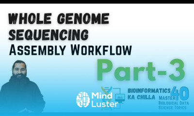 Whole Genome Sequencing Assembly Workflow Part 3 From Zero to Hero