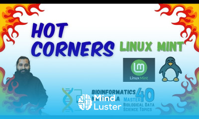 Hot Corners in Linux Mint for Mouse Shortcuts Easy Setup Guide