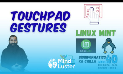 Mouse Touchpad Gestures in Linux Mint Improve Your Workflow