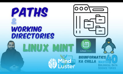 Paths and Working Directories in Linux Absolute vs Relative Paths Explained