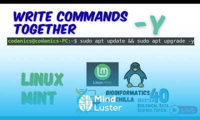 Combining Commands Using y Option in Linux Mint Beginner Friendly Linux Tips