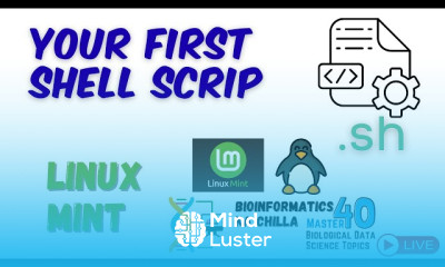 Create Your First Shell Script and Execute It in Linux Mint Beginner Shell Scripting Guide