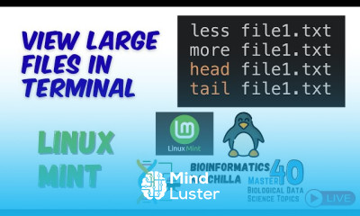 View Large Files Using less more head and tail Commands in Linux Mint Terminal Easy Tutorial