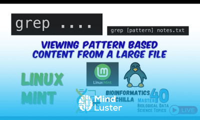 grep Commands to View Files with Patterns in Linux Mint and –help Flags for Any Command Full Guide