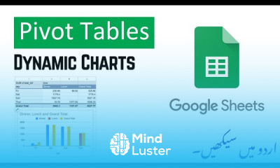 Understanding Data with Pivot Tables and Dynamic Charts