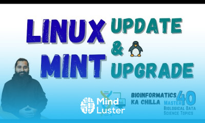 Keep Your Linux Mint Up to Date with These Easy Commands Tips sudo apt update upgrade
