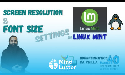 Screen resolution and font size settings in linux mint