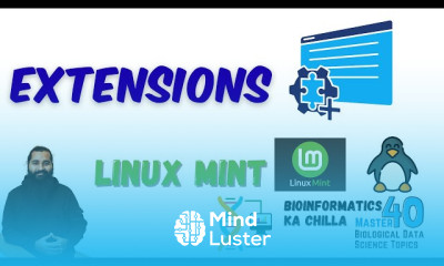 Linux Mint Extensions for Desktop Beautification and Professional Look