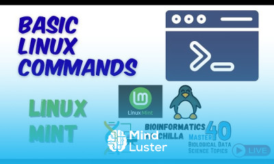 Basic Linux Commands in Linux Mint Part 2