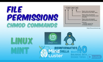 File Permission chmod Commands in Linux Mint Manage File Access Efficiently