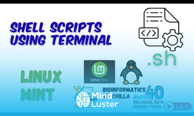 Create a Shell Script Using Terminal wget Command in Linux Mint Automate File Downloads