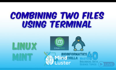 Combine Content of Two Files into One Write Terminal Output to File in Linux Mint Easy Guide