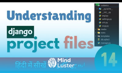 Django Project Files Explained manage py settings py urls py More Django Free Course