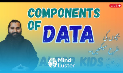 Components of Data Explained