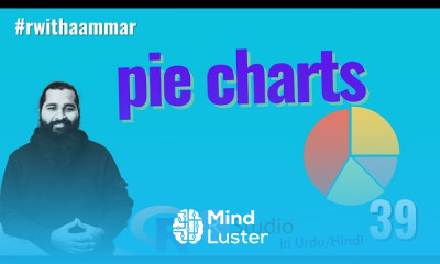 Pie Charts using different methods in R with Aammar