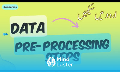 Data Preprocessing Steps