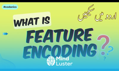 What is feature encoding datapreprocessing