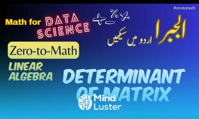 Determinant of a Matrix zerotomath